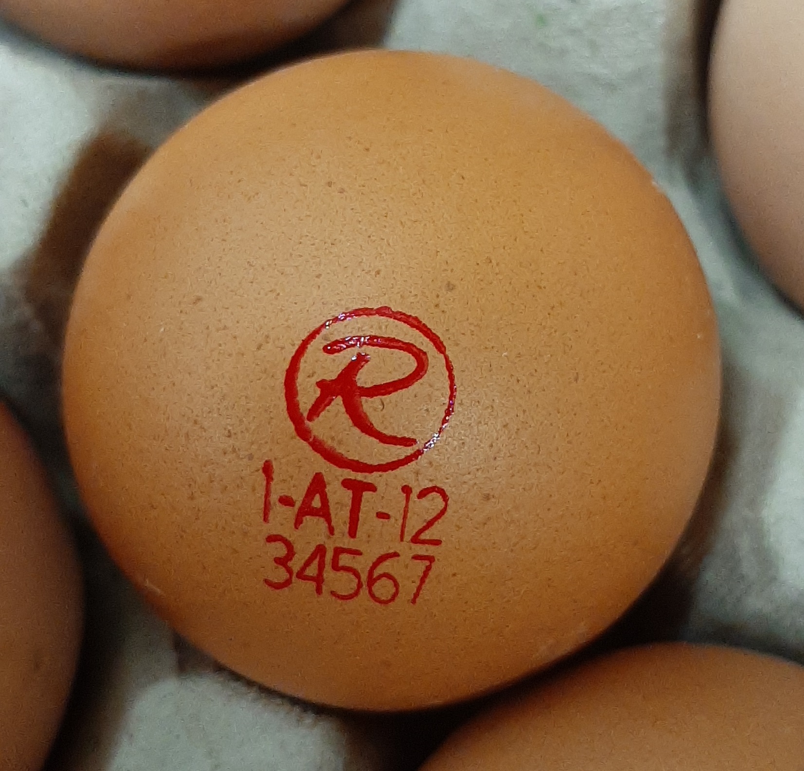 Eierstempel Und Eierprinter F r Ihren Legehennenbetrieb