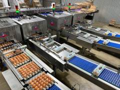 Eiersortiermaschine Riva Selegg